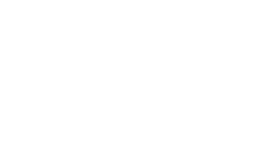 Bal Invest GmbH